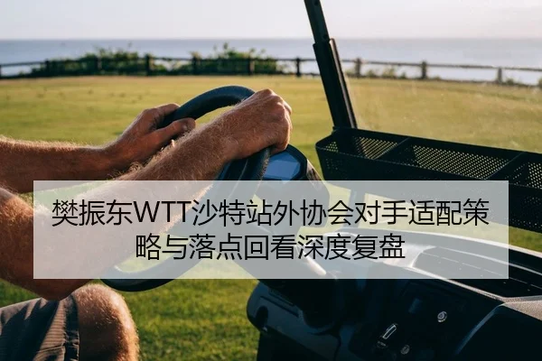 樊振东WTT沙特站外协会对手适配策略与落点回看深度复盘